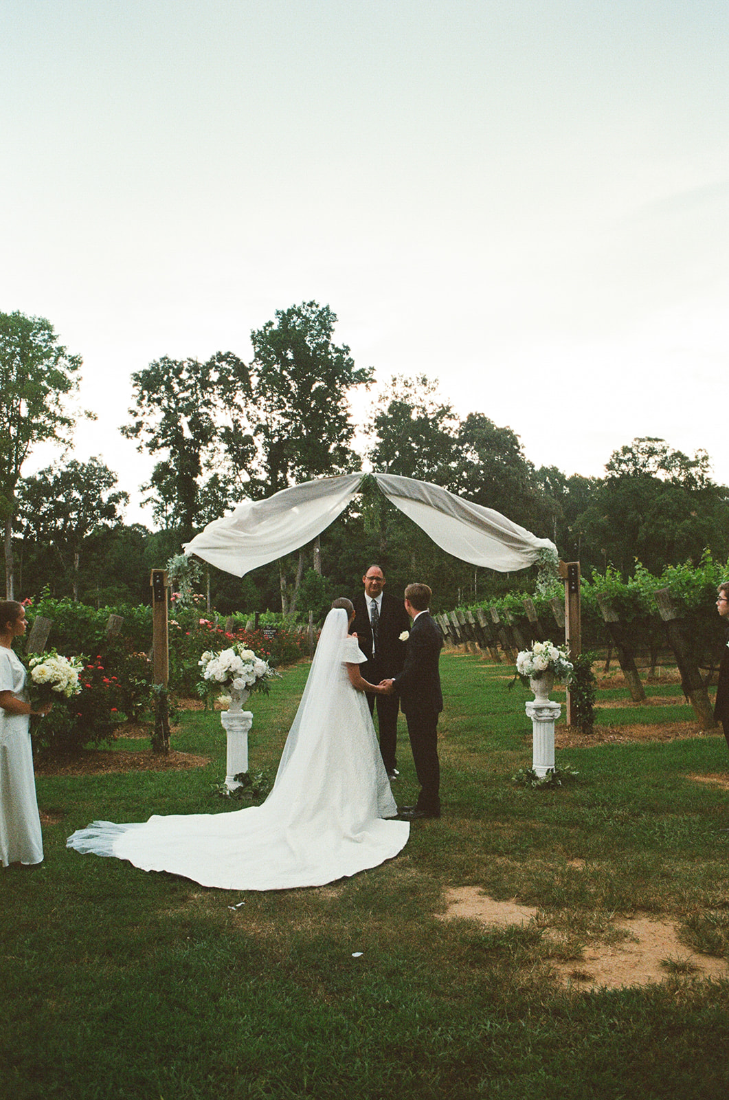 A bride and groom stand under a decorated arch during an outdoor wedding ceremony, with a vineyard and trees in the background.