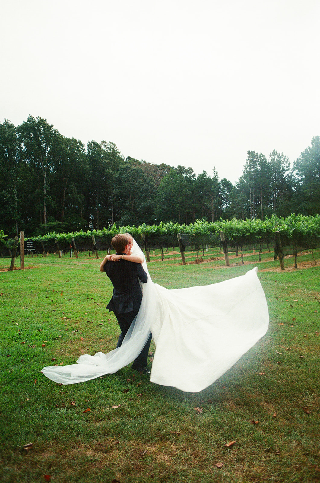 A bride in a white gown and veil stands next to a groom in a dark pinstriped suit, posing outdoors in a green vineyard setting.