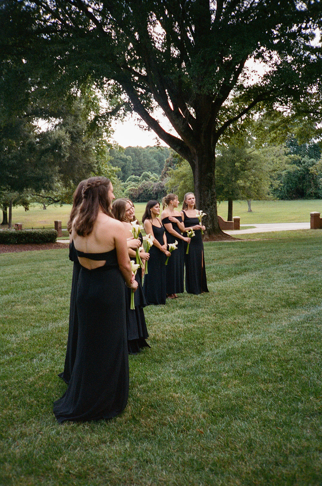 A bride in a white strapless gown stands outdoors among bridesmaids wearing black dresses, holding small bouquets, with trees in the background for a Charleston wedding